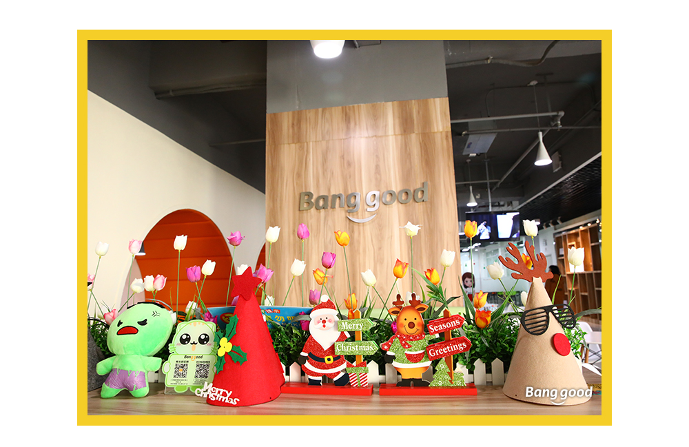 1515058016713031.jpg 10.jpg